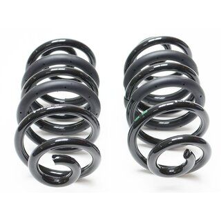 Fahrwerksfeder Satz für Hinterachse, T3 Syncro, OE Ref. 251511105E