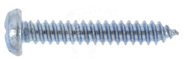 DIN 7981 Linsen-Blechschrauben mit Phillips-Kreuzschlitz mit Spitze 2,9X16mm