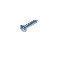 Schraube für Blinkerglas, Golf 1, Golf 2, 4.2x22mm