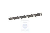 Nockenwelle für VW Diesel und Turbodiesel mit Hydrostößel ab Bj. 86 für Golf &Co, OE Ref. 068109101L