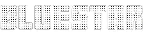 Foil lettering, sticker " Bluestar " T3 OE Ref. 255853679A